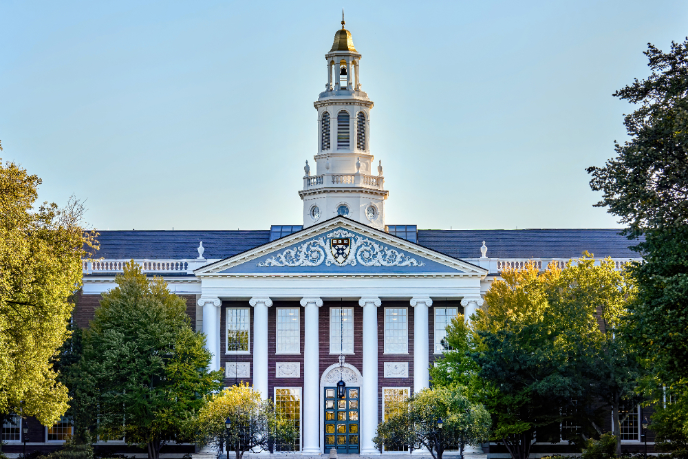 university
